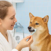 Brosse a dent chien | CROQ'SMILE™ Nala et Milo