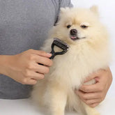 Chien avec brosse pour chien