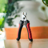 Coupe-ongle pour chien Charlotte