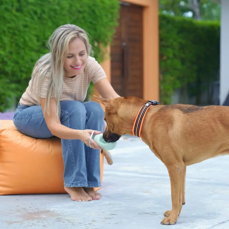 Gourde 2 en 1 pour chien | Bottle&Bowl™ Nala&Milo