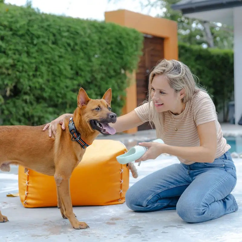 Gourde 2 en 1 pour chien | Bottle&Bowl™ Nala&Milo