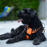 Harnais anti traction chien 2 en 1 | Harmony™ Nala&Milo