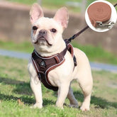 harnais petit chien marron