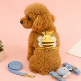 Harnais petit chien | BEEZ™ Nala et Milo