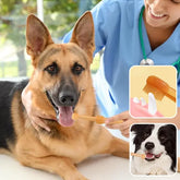 Illustrations manipulations brosse a dent chien