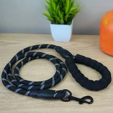 Laisse anti traction | TrainingLeash™ Nala&Milo