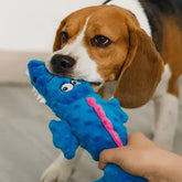 Peluche pour chien | CROKI™ Nala et Milo