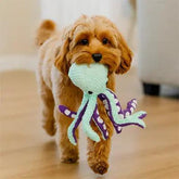 Peluche pour chien | ODY™ Nala et Milo