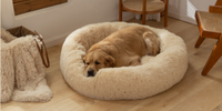 coussin-anti-stress-chien