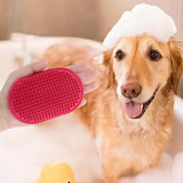 brosse pour chien rouge