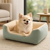 chien allonge dans panier pour chien bleu pastel dans salon