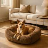 chien allonge dans panier pour chien marron