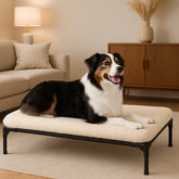chien allonge lit sureleve pour chien confortable