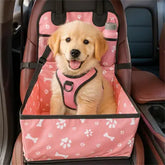 chien assis dans siege auto chien rose