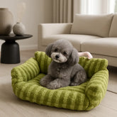 chien assis sur canape pour chien vert avec rayures