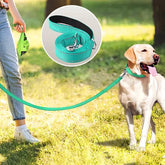 chien avec laisse pour chien bleue turquoise dans parc