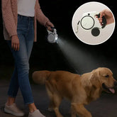 chien avec laisse pour chien en balade de nuit