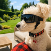 chien blanc portant lunettes pour chien noir