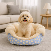 chien dans canape pour chien bleu