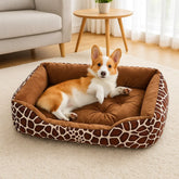 chien dans panier pour chien marron zebre