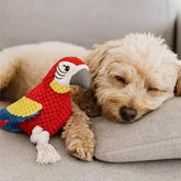 chien dormant avec peluche pour chien perroquet