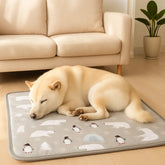 chien dormant sur tapis rafraichissant chien