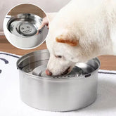 chien lechant surface eau gamelle pour chien