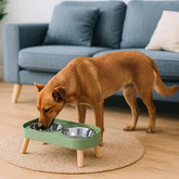 chien mangeant dans gamelle pour chien surelevee