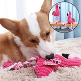 chien mordillant peluche pour chien flamant rose