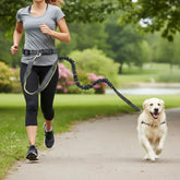 femme faisant jogging avec chien tenu en laisse pour chien