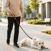 homme tenant chien avec laisse chien marron dans rue