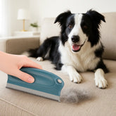 personne retirant poils chien longs sofa avec brosse chien poil long bleu foncé