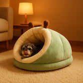 petit chien dans lit pour chien vert salon