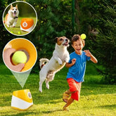 photo chien jouant avec lanceur de balle pour chien dans jardin