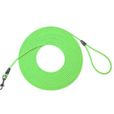 photo professionnelle longe pour chien vert clair