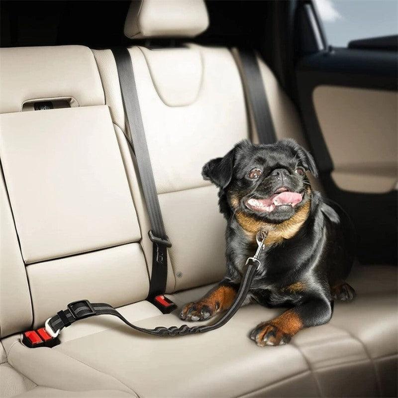 Ceinture de sécurité auto simple pour chien – Charlotte