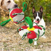 Jouet pour chien frisbee balle | FRISBALL™ - {{ Nala et Milo }}