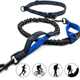 Laisse main libre chien | JOGDOG™ - {{ Nala et Milo }}