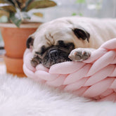 Coussin panier Lit pour petit chien et chat - {{ Nala et Milo }}