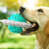 Jouet volant pour chien | VOLTE FLY™ - {{ Nala et Milo }}