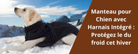 Manteau pour Chien avec Harnais Intégré : Protégez le du froid cet hiver