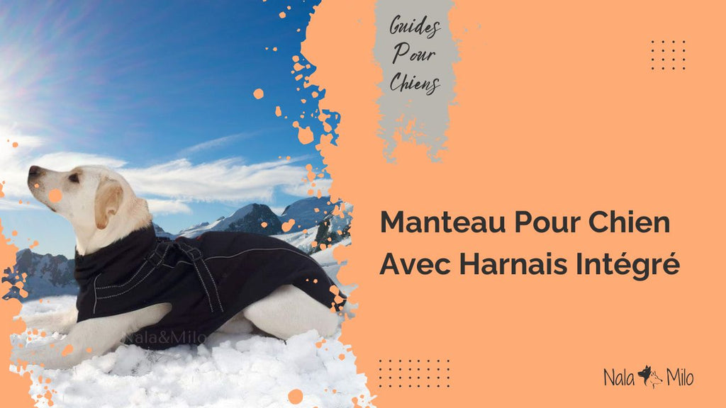 Manteau pour Chien avec Harnais Integre Protegez le du froid Charlotte