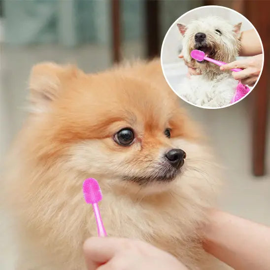 Brosse a dent chien | MIMIDENT™ Nala et Milo