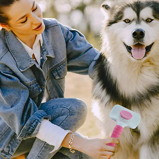 Brosse pour chien | BROSSY™ Nala et Milo