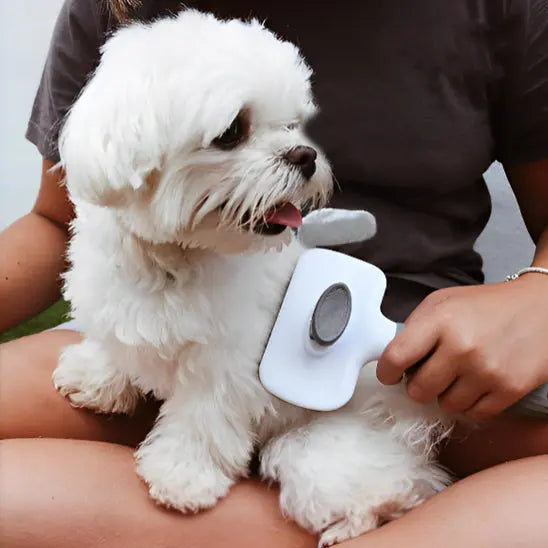 Brosse pour chien | BROSSY™ Nala et Milo