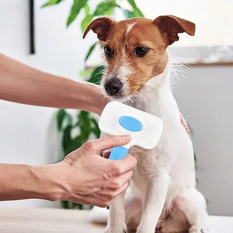 Brosse pour chien | BROSSY™ Nala et Milo