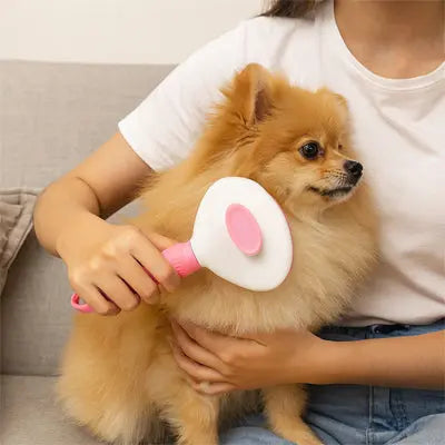 Brosse pour chien | DOUXPOILU™ Nala et Milo