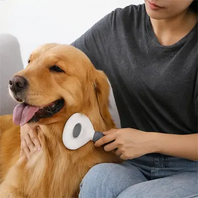 Brosse pour chien | DOUXPOILU™ Nala et Milo