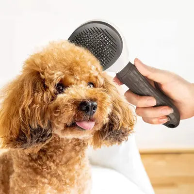 Brosse pour chien | DOUXPOILU™ Nala et Milo