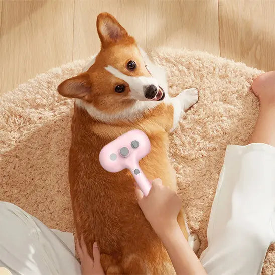 Brosse pour chien | Vapolux Nala et Milo